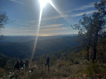 Excursión Senderismo Pignans - Notre Dame des Anges 768m 26.11.23 - Photo