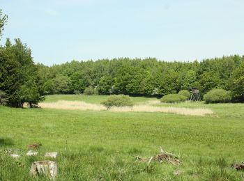 Percorso A piedi Südharz - Wanderweg 