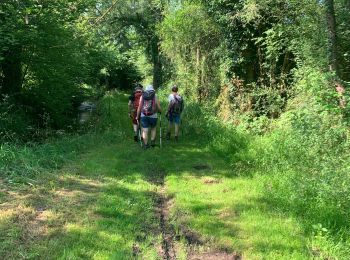 Tocht Stappen Chissey-lès-Mâcon - Chéris et le 27-07-2024 - Photo