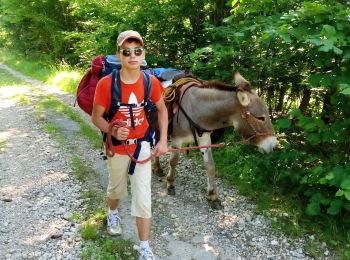 Trail Walking La Chapelle-en-Vercors - La Chapelle en Vercors - Vassieux (Première étape balade ânes) - Photo