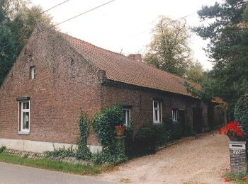 Tocht Te voet Hechtel-Eksel - Hoksent-Molhem Dommeldalroute - Photo