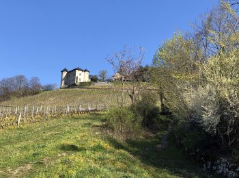 Randonnée Marche Saint-Alban-Leysse - St-Jean-d'Arvey-2021-03-30 - Photo