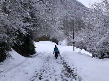 Trail Horseback riding Sazos - Vieilles Thermes de luz - Photo