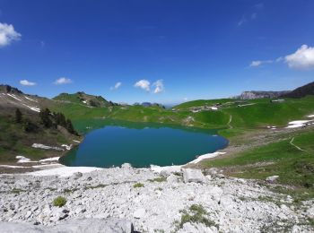 Trail Walking Le Grand-Bornand - BARGY: LE CHINAILLON - LAC DE LESSY - Photo