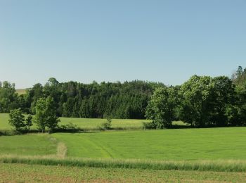 Percorso A piedi Grafengehaig - Schlackenmühl-Weg KU 62 - Photo