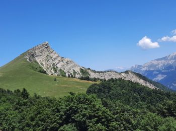 Randonnée Marche Tréminis - Boucle et sommet de l'Aup - Photo