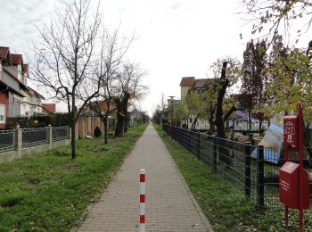 Percorso A piedi Leimen - Rundwanderweg Leimen 1: St. Ilgener-Weg - Photo