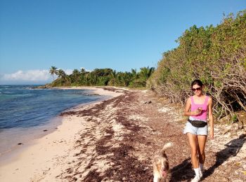 Randonnée Marche Saint-François - Anse et Pointe des Rochers - Photo