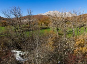 Excursión A pie Matallana de Torío - Vía Verde Mina Bardaya - Photo