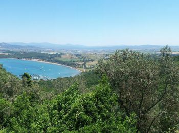 Randonnée A pied Piombino - IT-303 - Photo