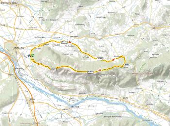 Excursión Bici de montaña Cavaillon - la forêt des cêdres D+930m par Ménerbes - Photo