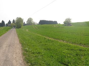 Percorso A piedi Melle - Aussichts- und Waldwanderweg L2 - Photo