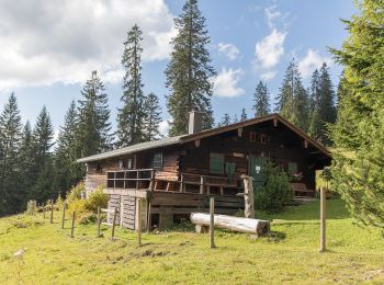 Percorso A piedi Reit im Winkl - Winklmoosalm - Dürrnbachhorn - Photo