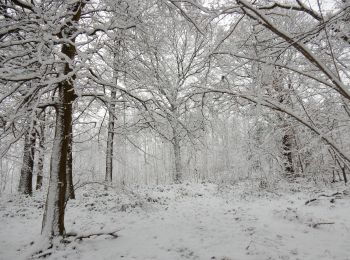 Percorso Mountainbike Yvoir - GODINNE ... balade hivernale. - Photo