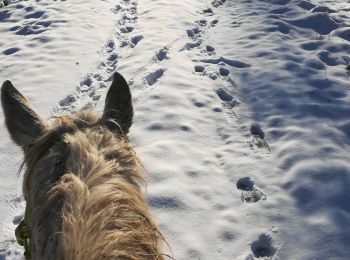 Tocht Paardrijden Saint-Martin - neige kaline vispa  - Photo