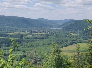 Randonnée Marche Allarmont - 2019-06-08 Marche Allarmont et ses rochers - Photo