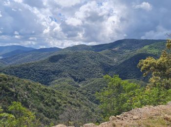 Tocht Wegfiets Vidauban - collobrieres gonfaron - Photo