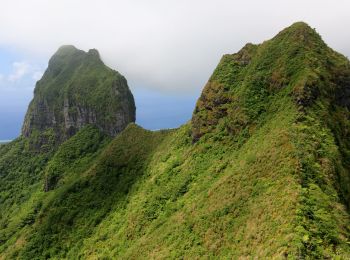 Tour Wandern Bora-Bora - Mont Pahia - Photo