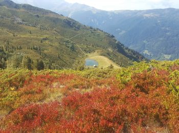 Trail Walking Le Haut-Bréda - Croix et lac du Leat  et Pierre du Pin, via le chalet du Bout - Photo