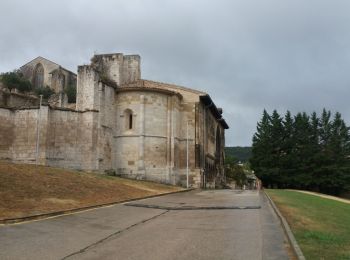 Randonnée Marche Cirauqui - Estella - Photo