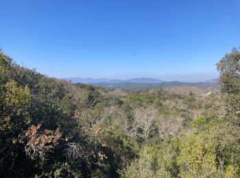 Randonnée Marche Pézènes-les-Mines - Pezenes Nord - Photo