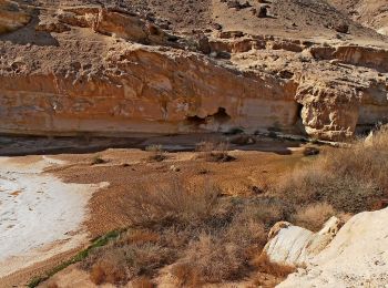 Trail On foot Ramat Negev Regional Council - IL-14181 - Photo