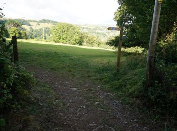 Tocht Te voet South Hams - Greenway Walk - Photo