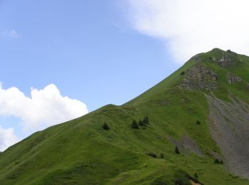 Tocht Te voet Breno - Valle Dorizzo - Passo Croce Domini - Photo