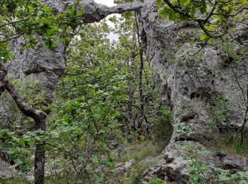 Tocht Stappen Mazaugues - Mazaugues les Arches - Photo