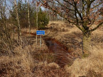 Tocht Te voet Bergeijk - Witrijtse Akker en Boslandroute - Photo