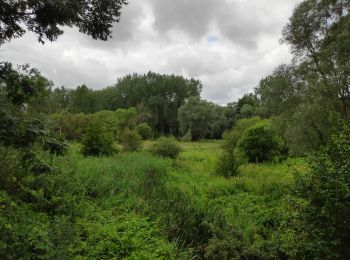 Tour Wandern Huldenberg - Neerijse - Photo