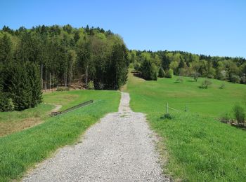 Tocht Te voet Seiersberg-Pirka - Erzherzog Johann Marsch - Photo