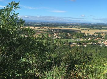 Excursión Senderismo Calmont - Les coteaux de Calmont - Photo