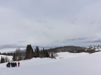Excursión Raquetas de nieve La Pesse - la Pesse rando raquette neige - Photo