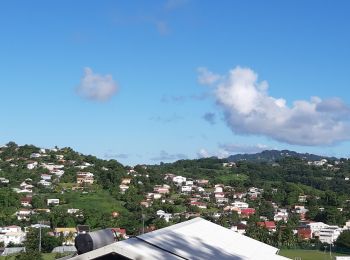 Trail Walking Saint-Esprit - bois la Charles  - Photo