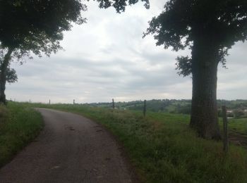 Trail On foot Noyant-d'Allier - Noyant les cotes Matra - Photo