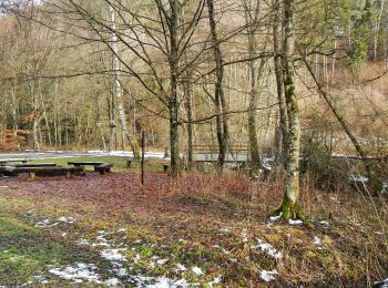 Tocht Te voet Herrenberg - Blaues Kreuz - Photo