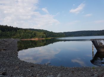 Trail Walking Pierre-Percée - Lac de la Pierre-Percée - château de Salm - grotte des Poilus et l'observatoire - Photo