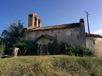 Tour Zu Fuß Sant Martí de Llémena - Volcà de la Banya del Boc - Photo