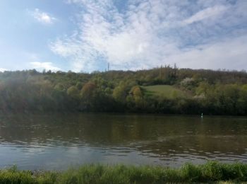 Tocht Stappen Sierck-les-Bains - duc de Lorraine malbrouck  - Photo