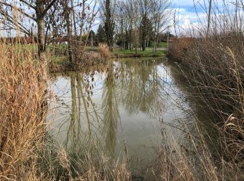 Tocht Stappen Sagy - Les trois mares SAGY - Photo