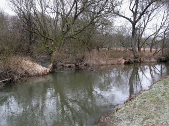 Randonnée A pied Ralsko - [Ž] Jelení Vrch - Brennský mlýn - Photo