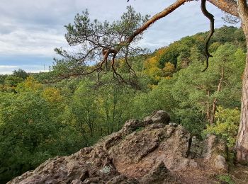 Trail Walking Nandrin - Marche ADEPS Villers-le-Temple - Photo