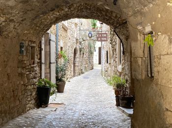 Tour Wandern Saint-Martin-d'Ardèche - Saint Martin d’Ardéche - Photo