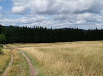 Randonnée Marche Saint-Nabor - boucle st nabor - Mt ste Odile  - Photo