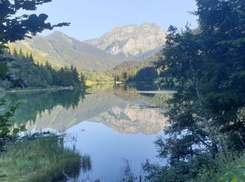 Excursión Senderismo Bellevaux - lac de vallon et cascade - Photo