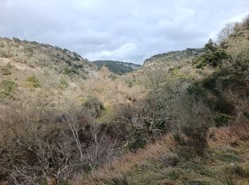 Tour Wandern Bourg-Saint-Andéol - maison forestière de la laoul - Photo