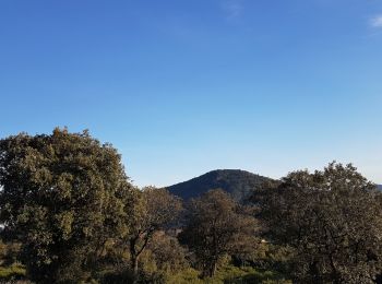 Excursión Marcha nórdica Le Puech - Les Hémies St Agricol Rabejac Dec 2021 - Photo