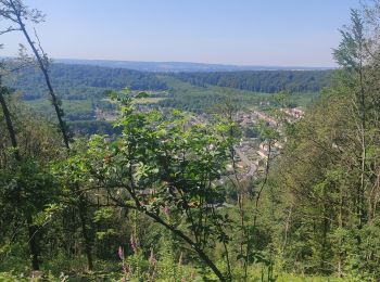 Randonnée Marche Nouzonville - Meiller - Hauteurs de Nouzonville - Photo