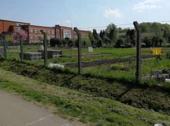 Randonnée Marche Blegny - Promenade du vendredi P10 - Photo